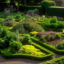 Learn to design your garden