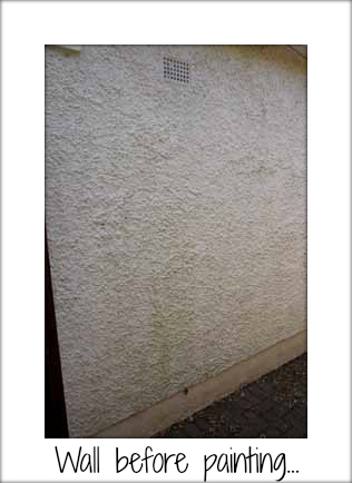 Exterior issues: Using paint to refresh the outside of your home ...