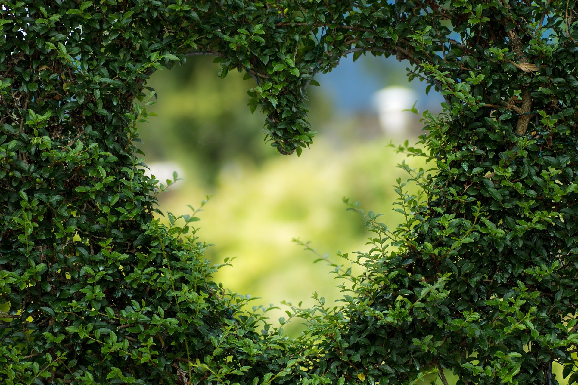 8 Great Questions To Ask Before Starting Your Garden Upgrade Projects