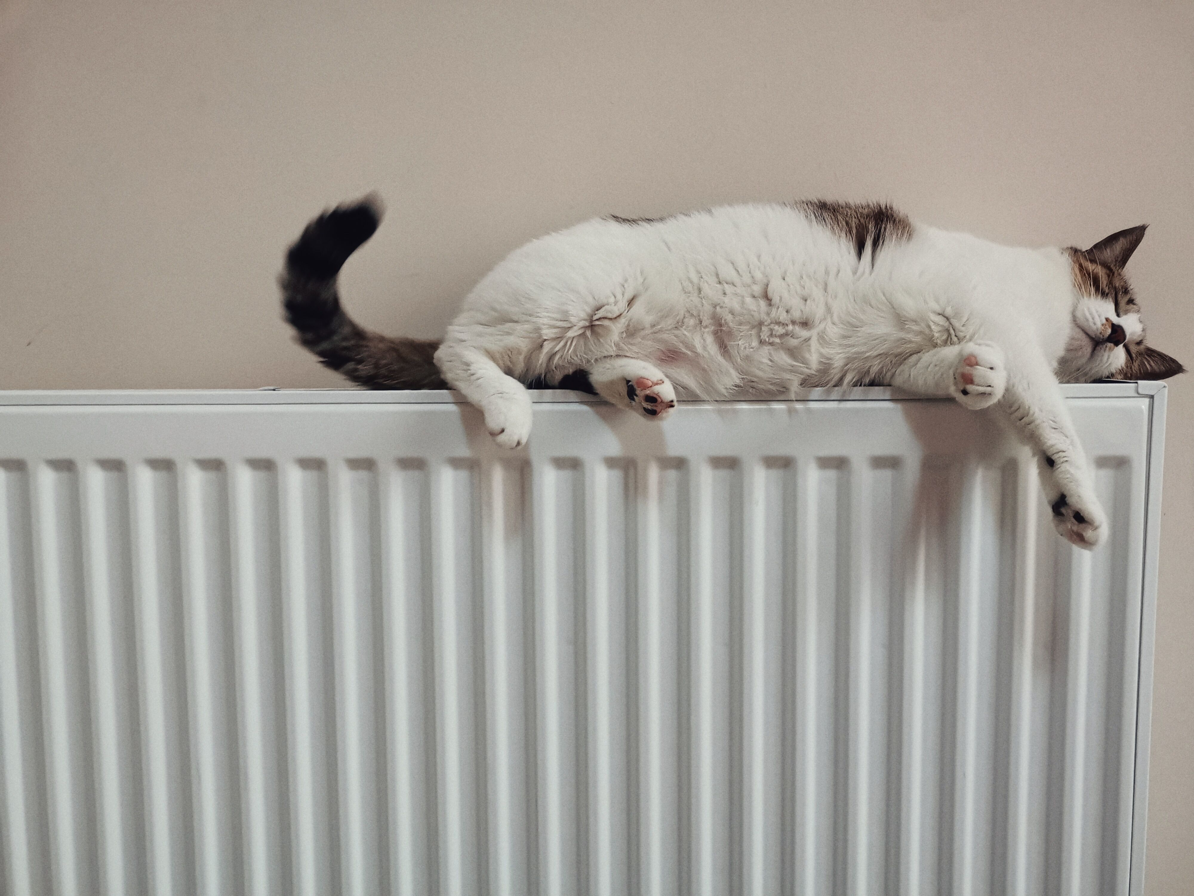 Everything You Need to Know About Radiators ~ Fresh Design Blog