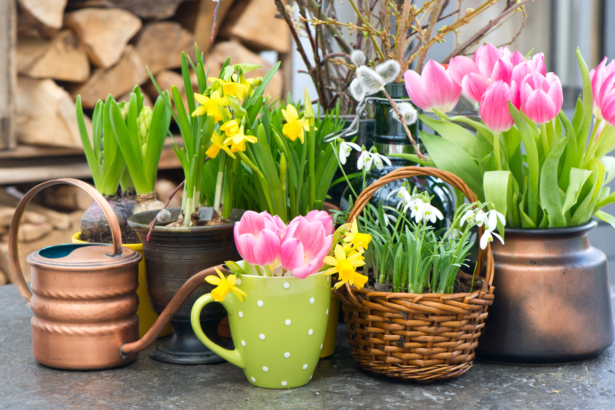 Top 10 Spring Flowers Accessories to Cheer Up Your Home Decor ~ Fresh ...